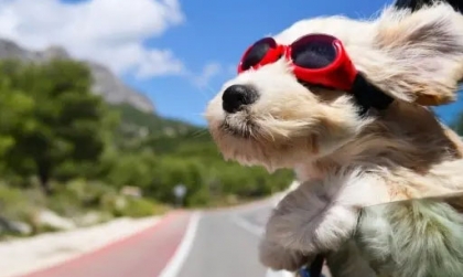 Bạn yêu xe, nhưng có là “Em sen” tận tuỵ? 